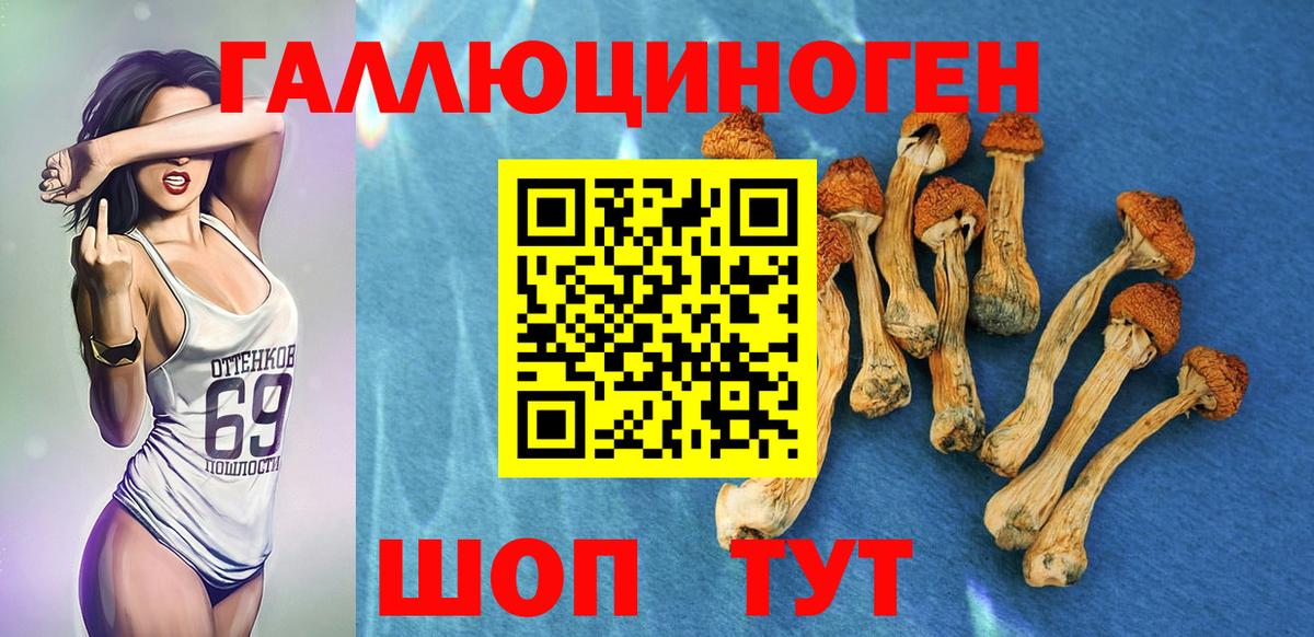 Галлюциногенные грибы мухоморы Лабинск